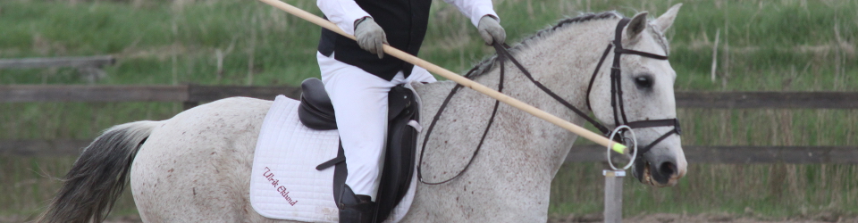 Working Equitation i Skåne